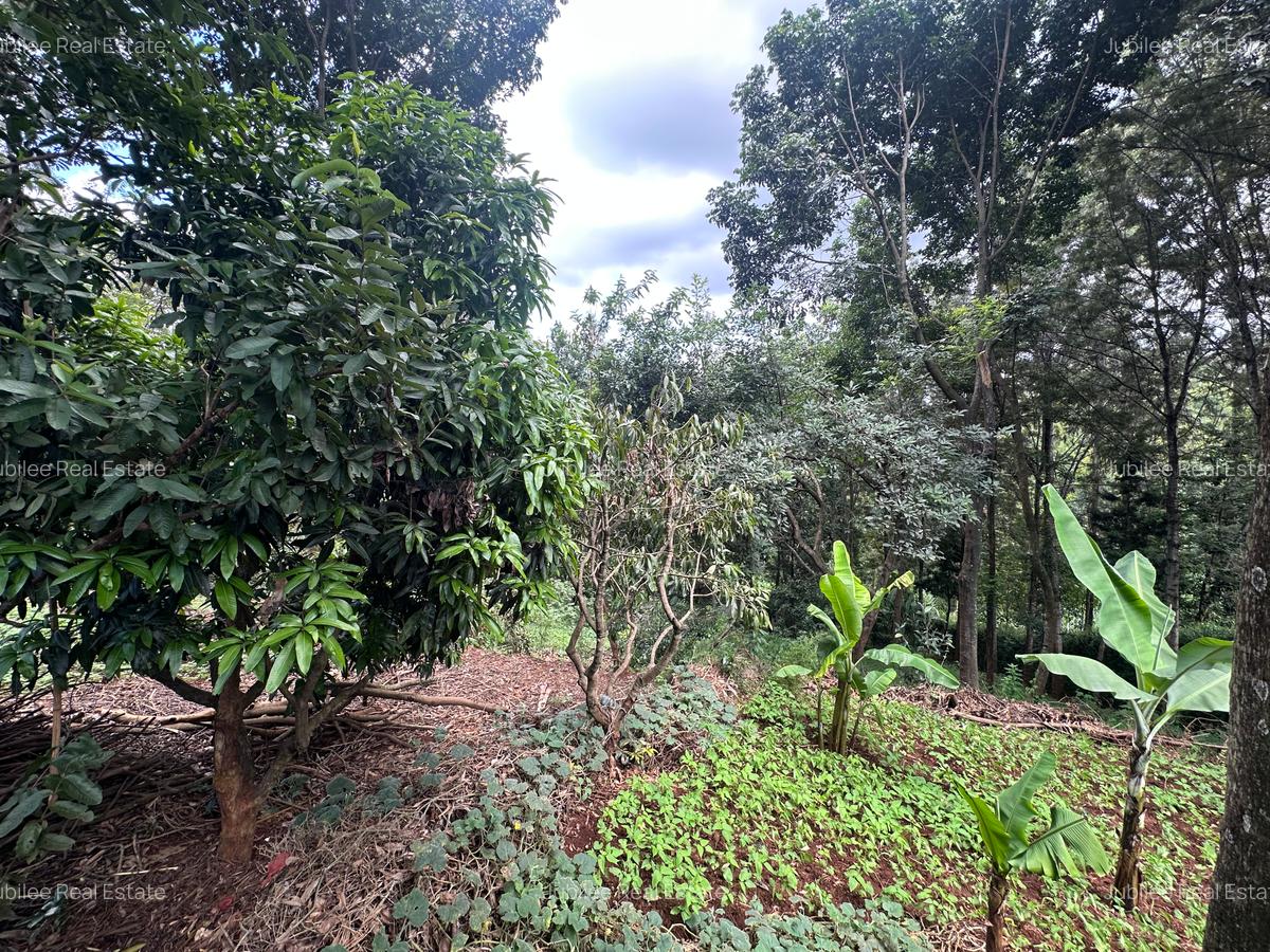 1 ac Land in Nyari - 5