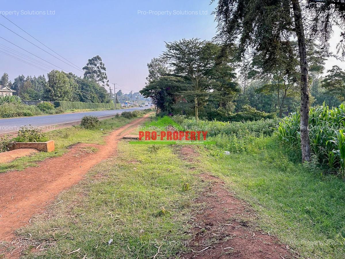 0.2 ha Commercial Land in Ndeiya - 5