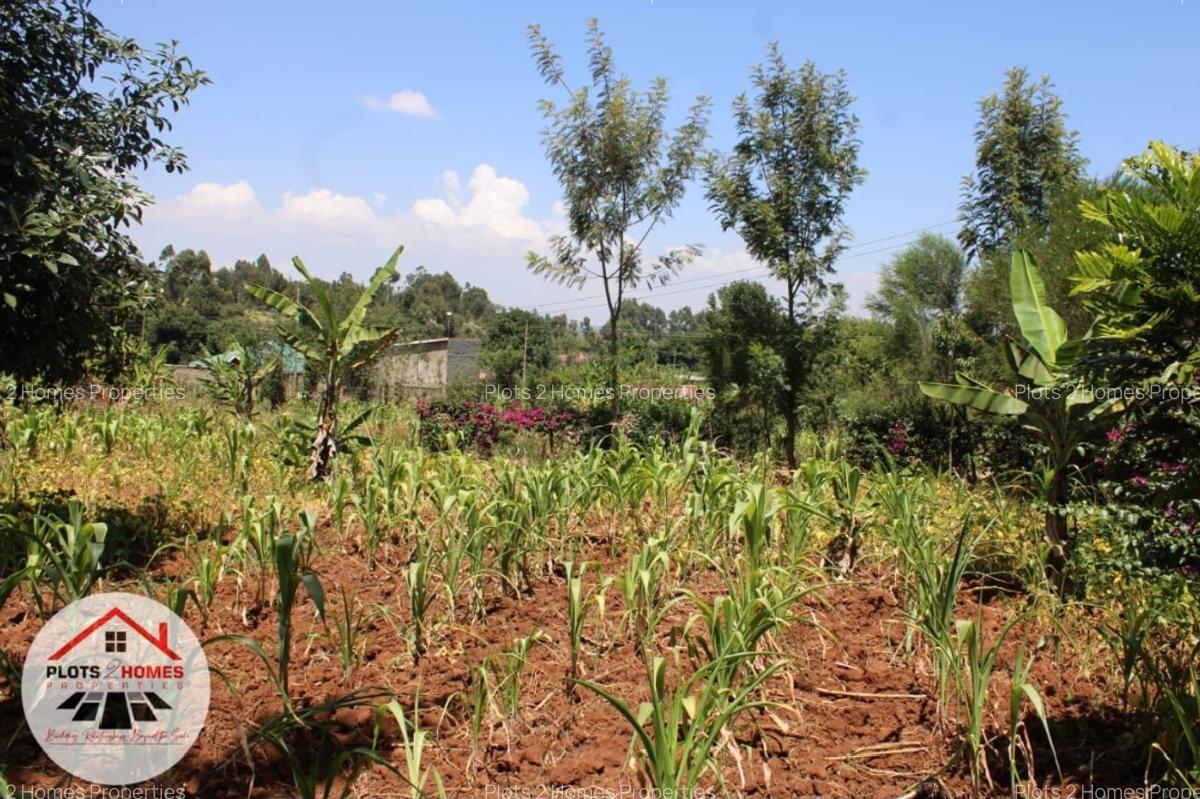 800 m² Residential Land at Kamuita Area - 4