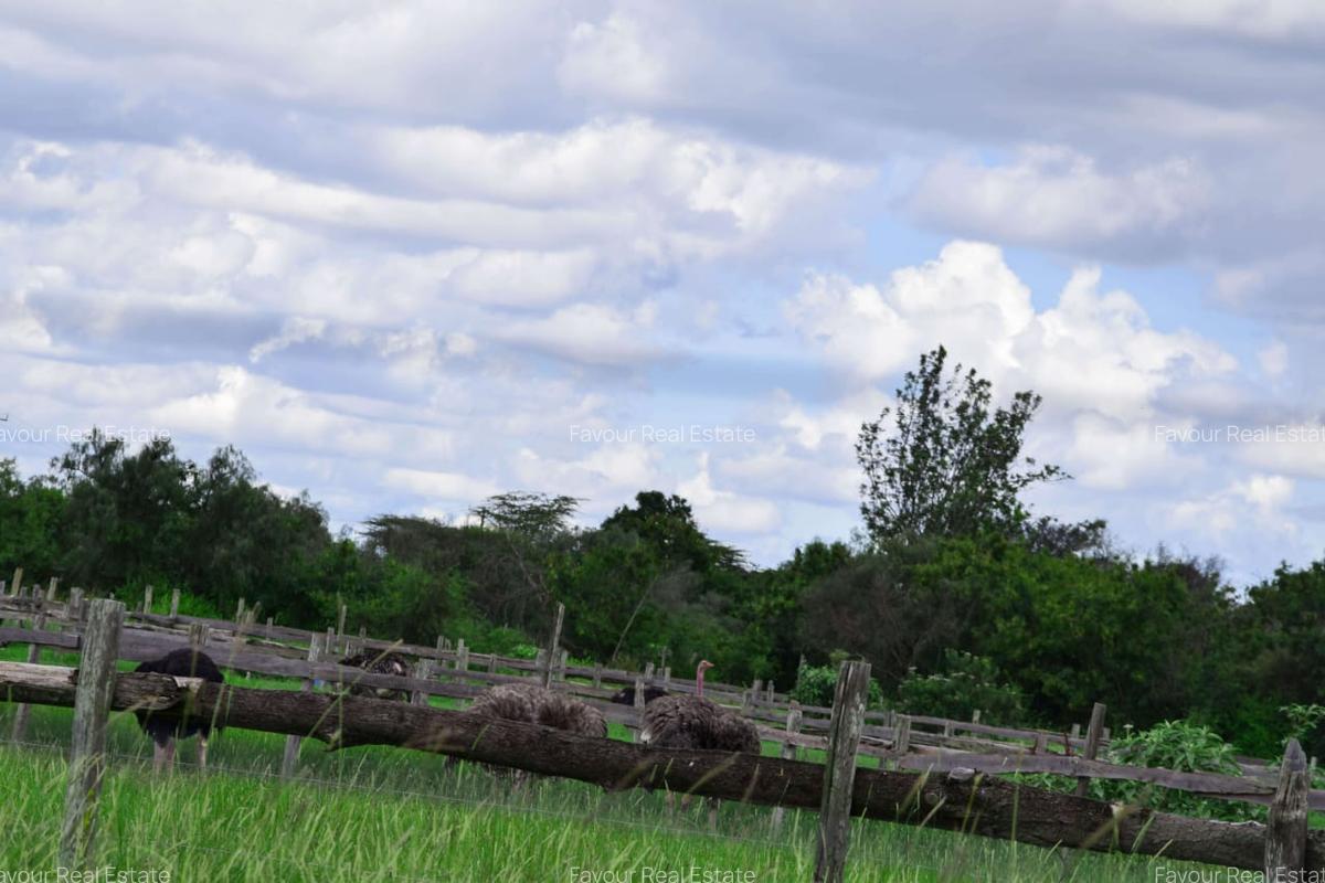 Residential Land at Kitengela Ostrich Farm - 9