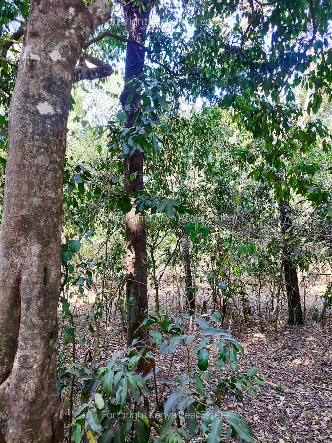 0.5 ac Land at Hardy - 7