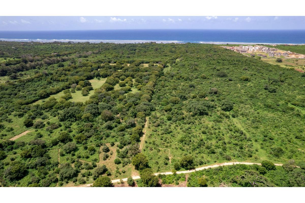 Residential Land in Vipingo - 17