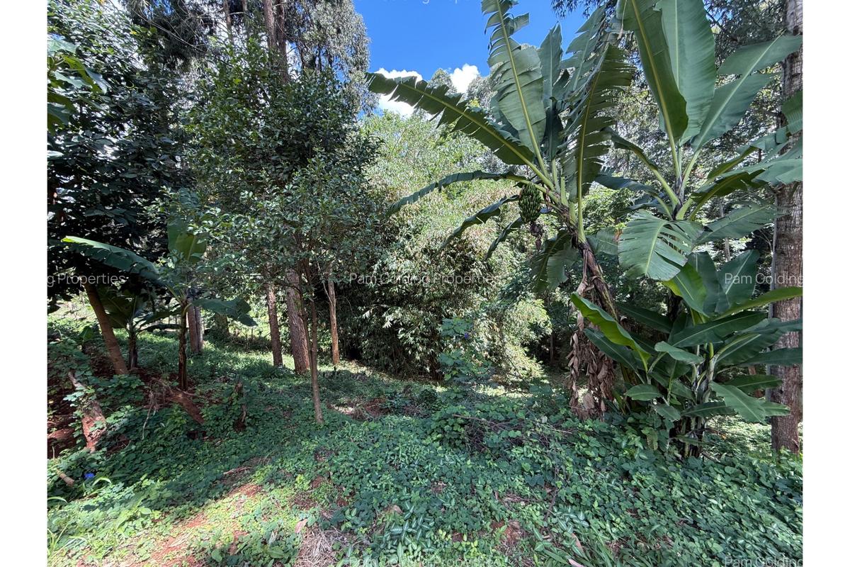 0.6 ac Land at Kitisuru Road - 2