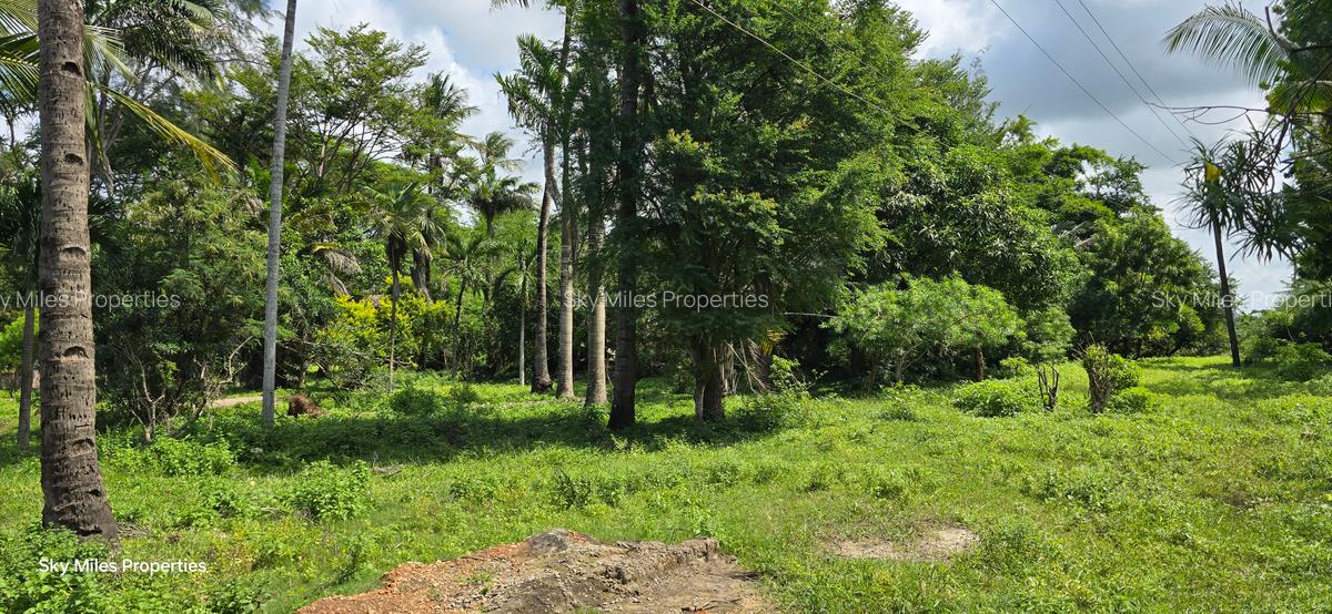 20 ac Land at Mtwapa - 5