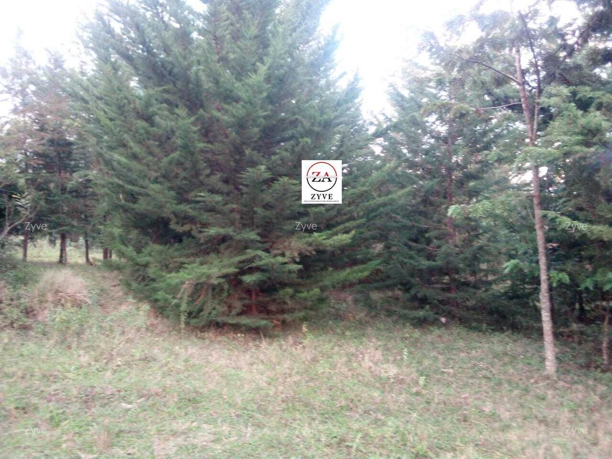6 ac Land at Mukima Ridge - 7