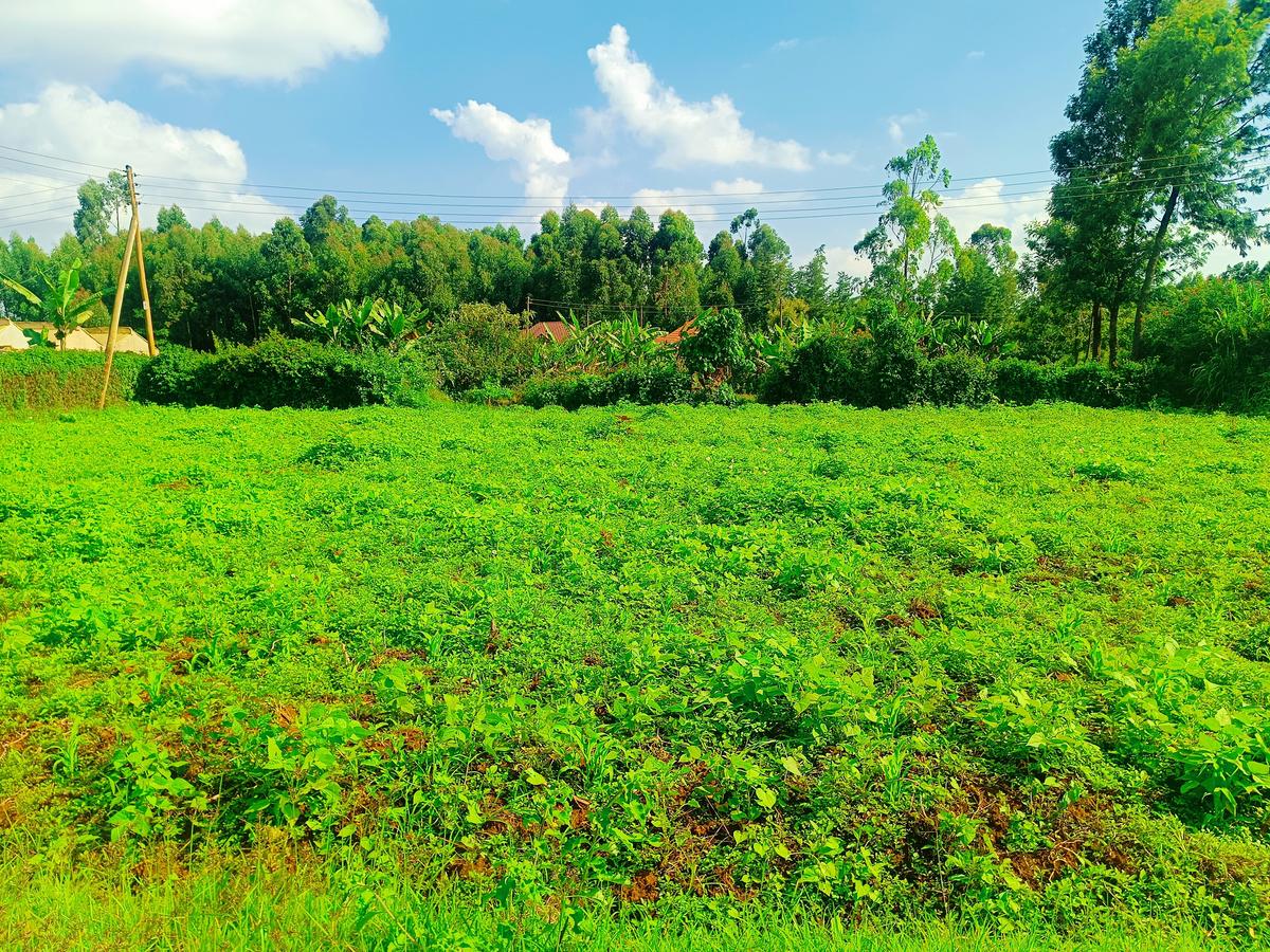 1,000 m² Residential Land at Ondiri - 8