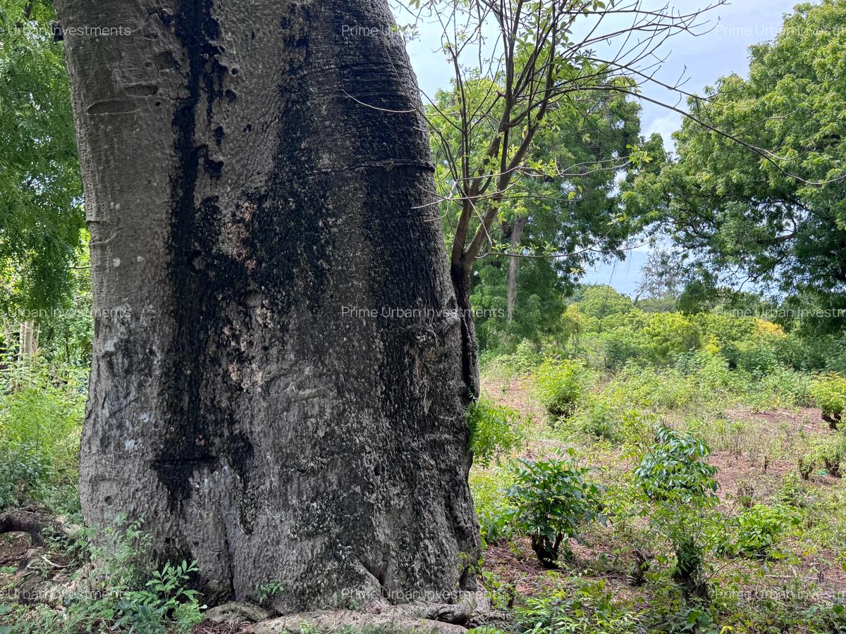 8,093.72 m² Land at Diani 3Rd Row Beach - 4