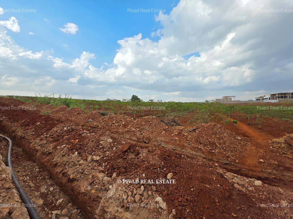 2.5 ac Land in Runda - 3