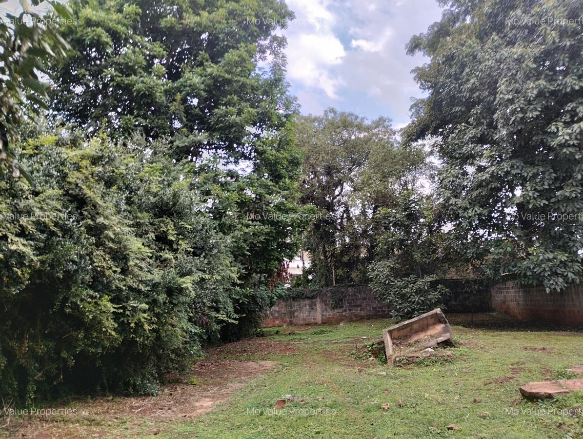 100 ac Land at Thika Road - 7