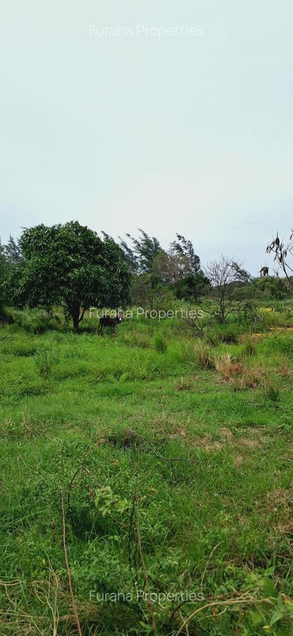 Land in Kilifi - 6