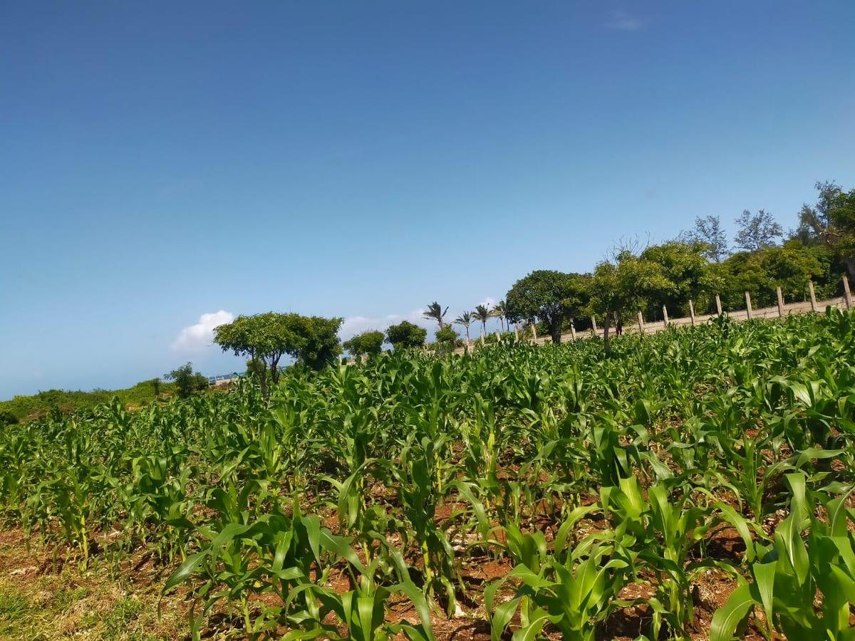 Land in Kilifi County - 11