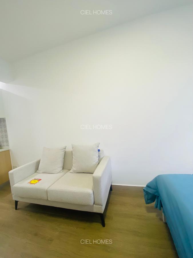 Furnished Studio Apartment with En Suite in Juja - 11