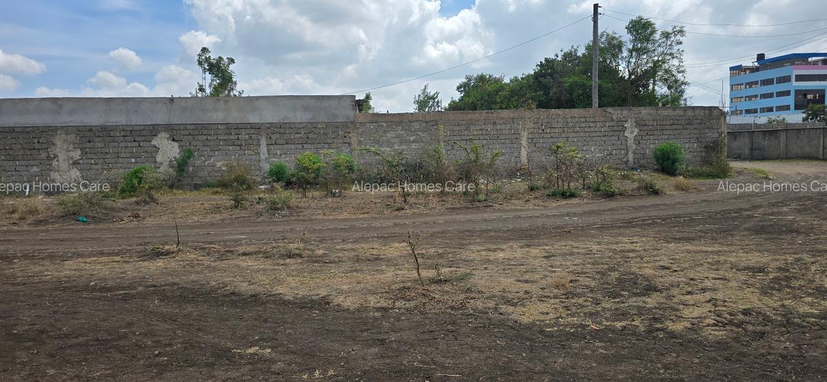 0.125 ac Commercial Land at Kamakis - 4