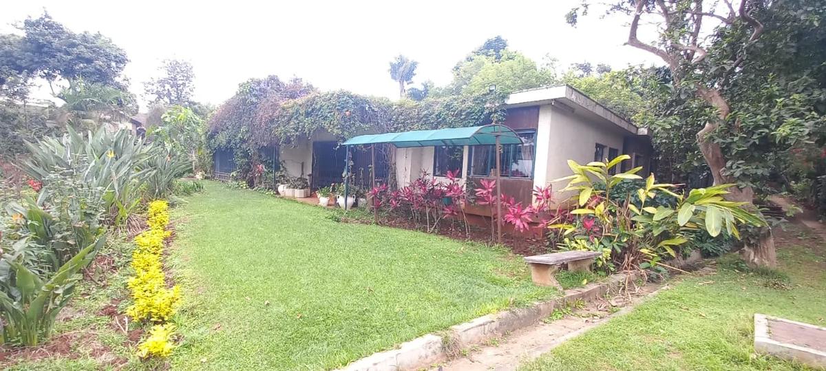 1.5 ac Land in Lavington - 5