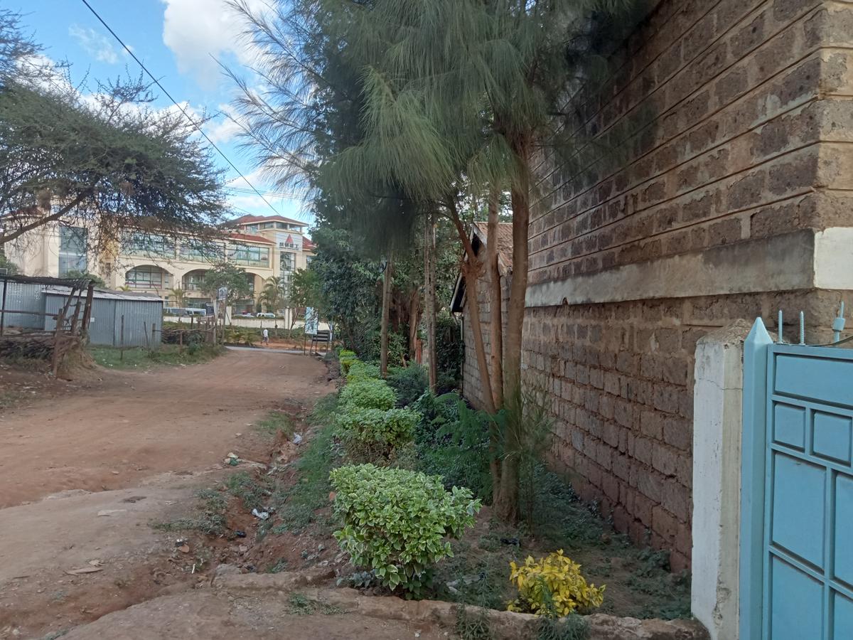 Commercial Property at Kiamumbi Estate - 1