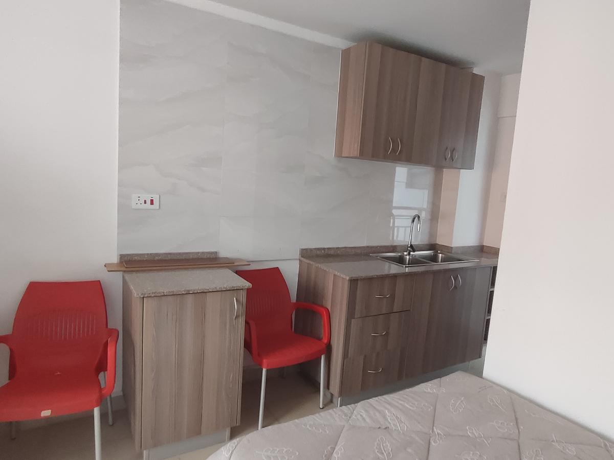 Studio Apartment with En Suite in Nairobi West - 8