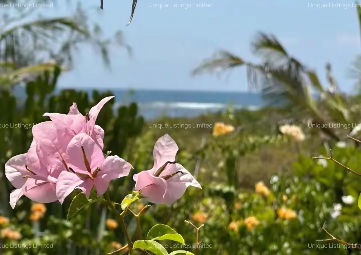 4 ac Land in Watamu - 15