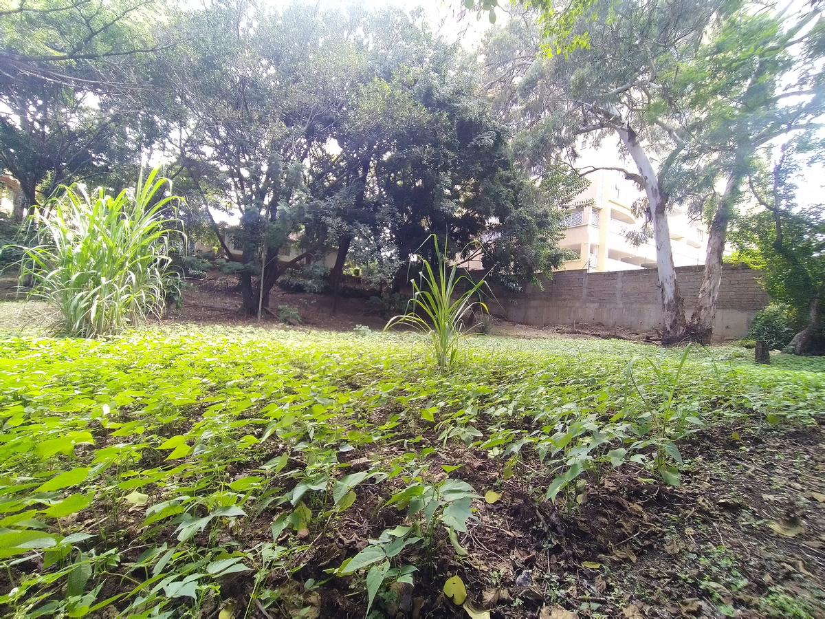 0.78 ac Residential Land in Riara Road - 6