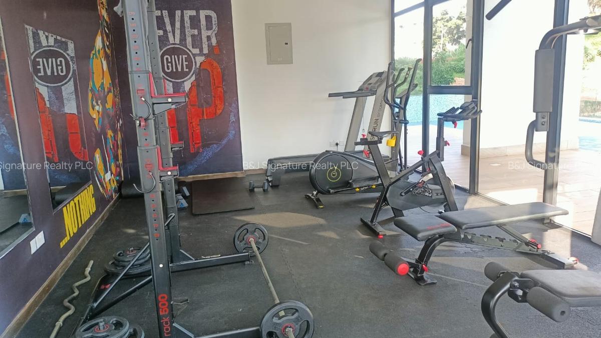 2 Bed Apartment with En Suite in Gigiri - 14