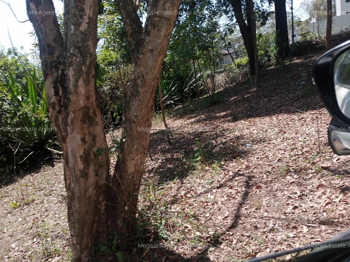 3 ac Land at Thindigua - 1