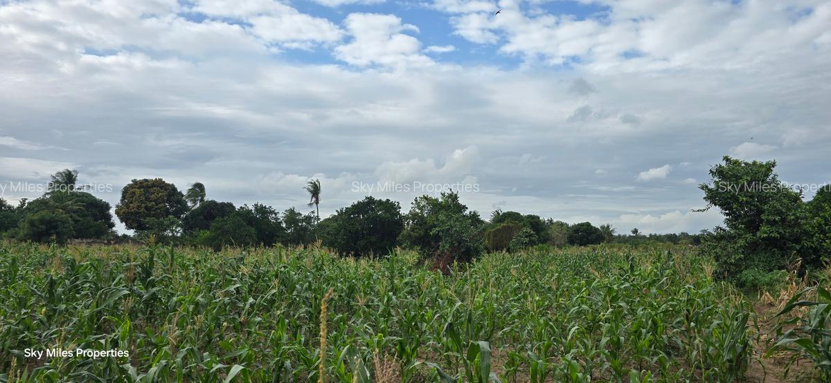 6 ac Land at Bomani - 7