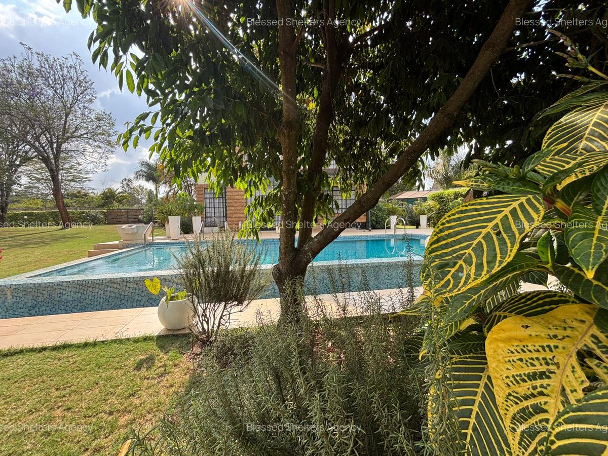 4 Bed Villa with En Suite in Kiambu Road - 5