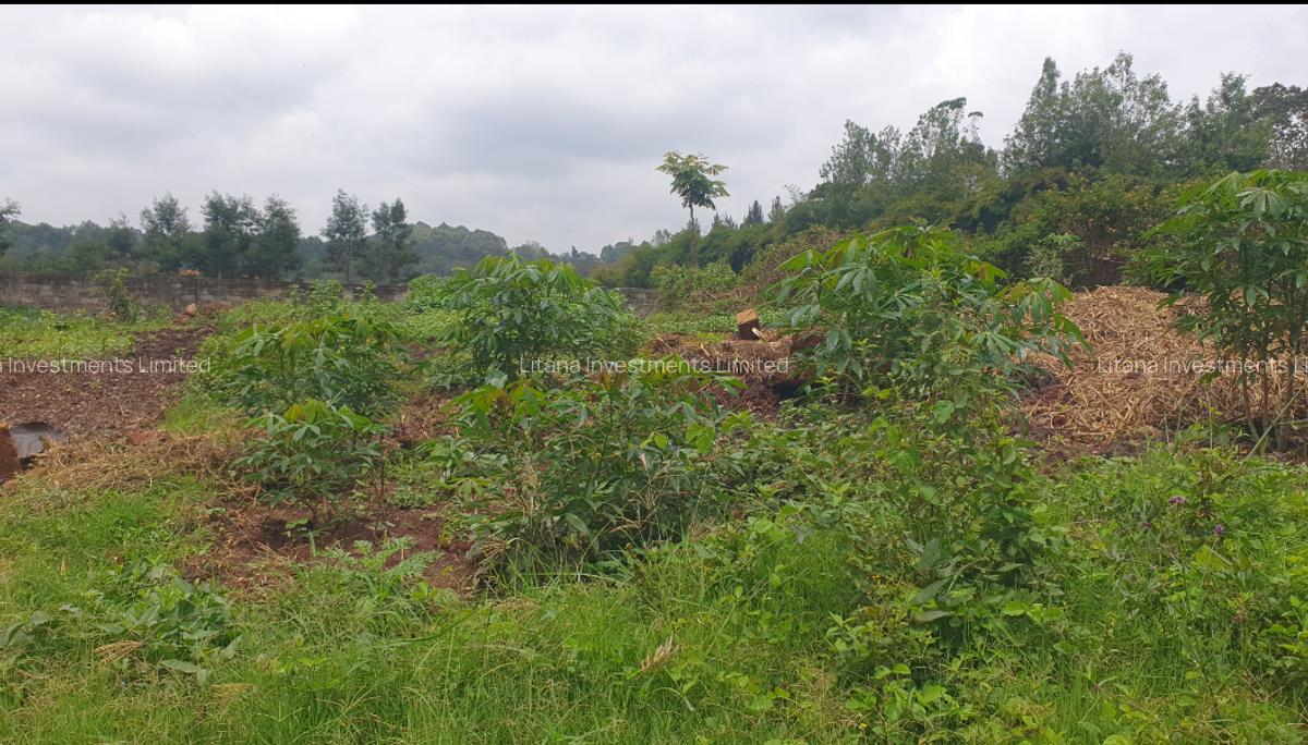 0.5 ac Land at Loresho - 3