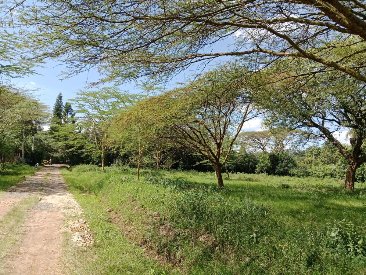 Land at Roysambu - 2