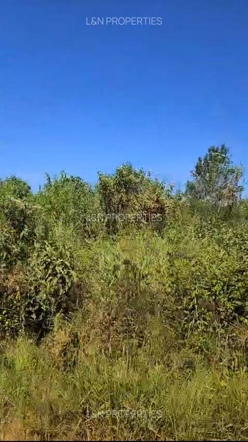 Residential Land at Runda Paradise - 5