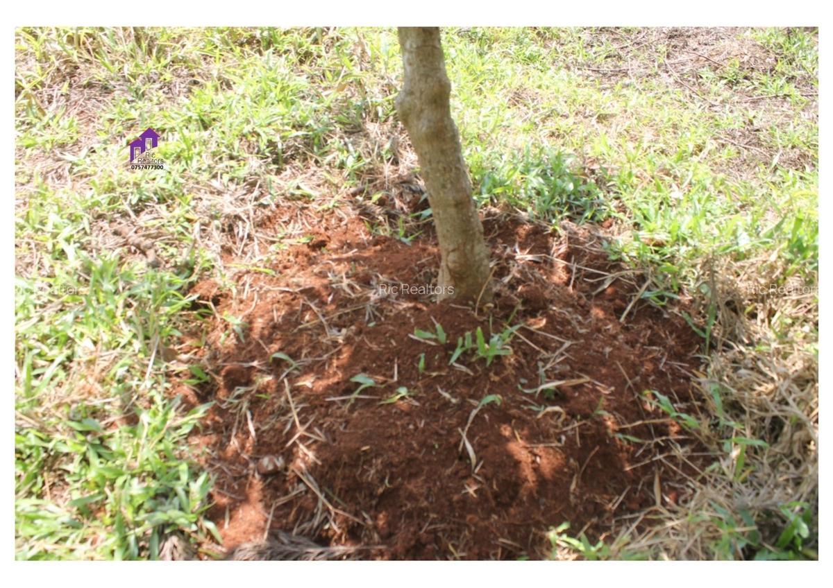 3.5 ac Land at Karinde Road - 4