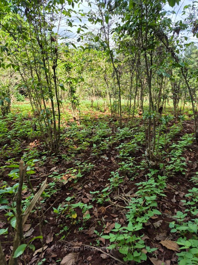 Commercial Property in Kiambu Road - 1