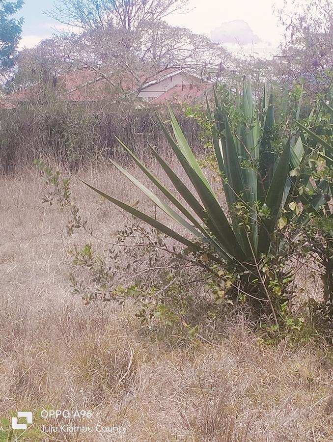 Residential Land in Juja Farm - 7