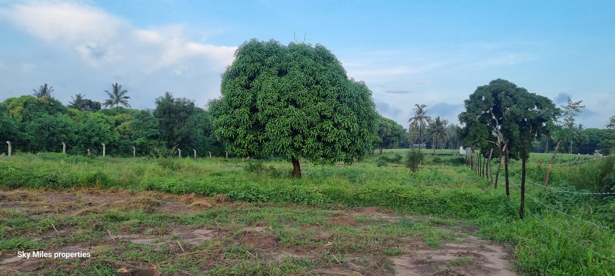 7 ac Land at Mtwapa - 10