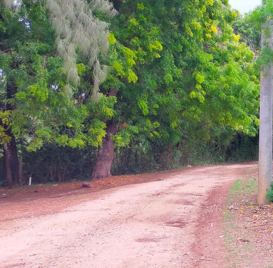 Land in Vipingo - 13