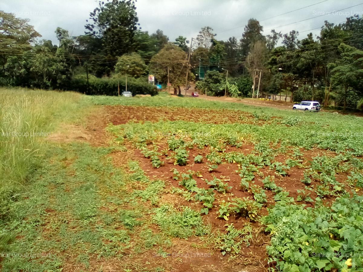 Commercial Property at Red Hill Rd - 9