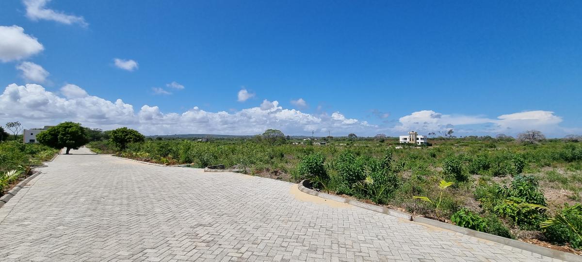 Land at Vipingo - 11