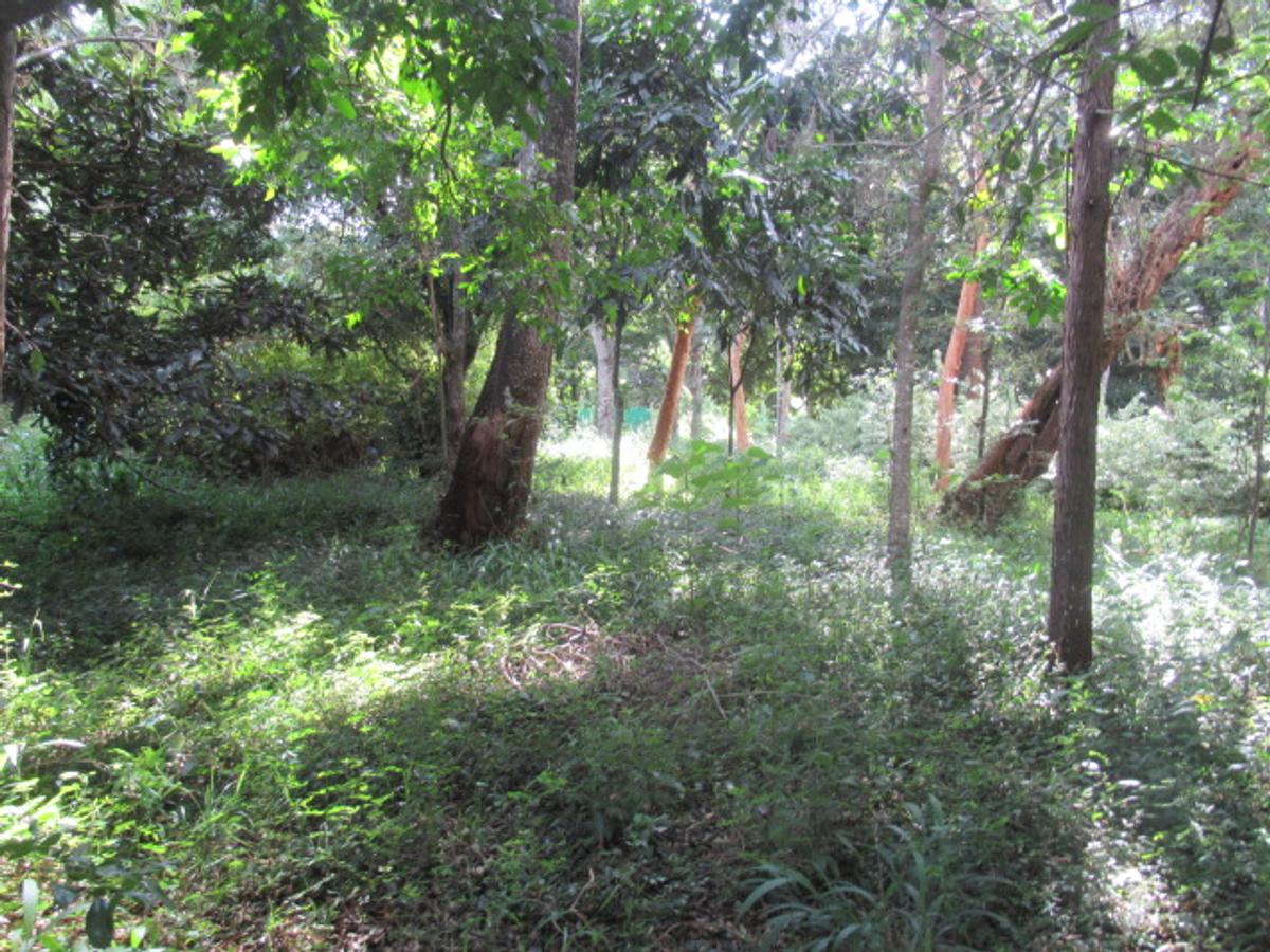 Residential Land at Mwitu Estate - 17