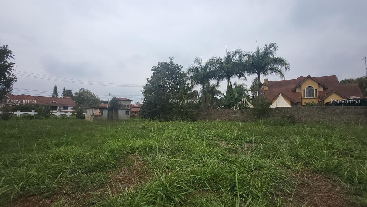 0.5 ac Land at Old Runda - 5
