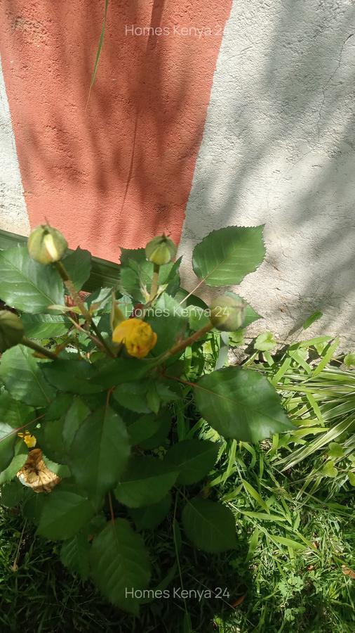 1 Bed House in Runda - 3