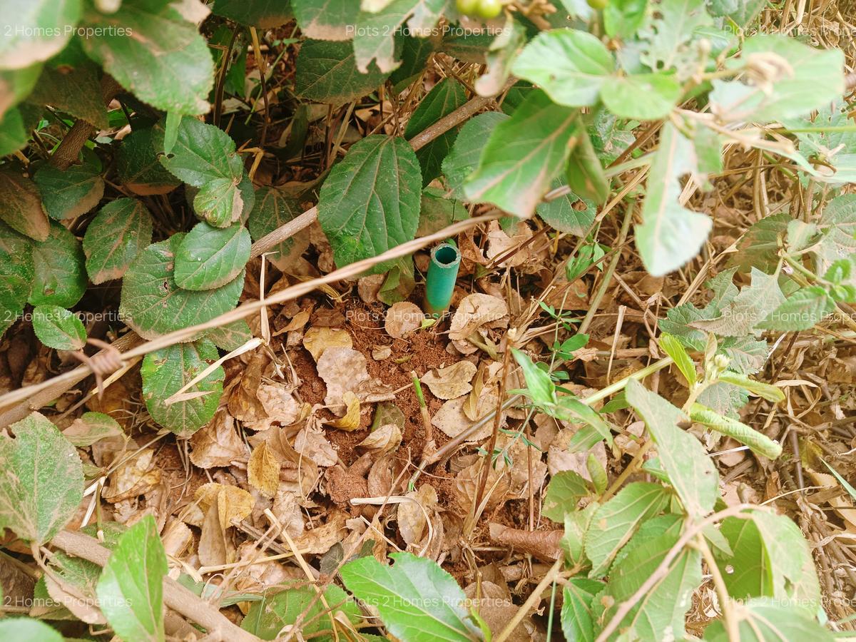 500 m² Residential Land at Ha. Thiru - 9