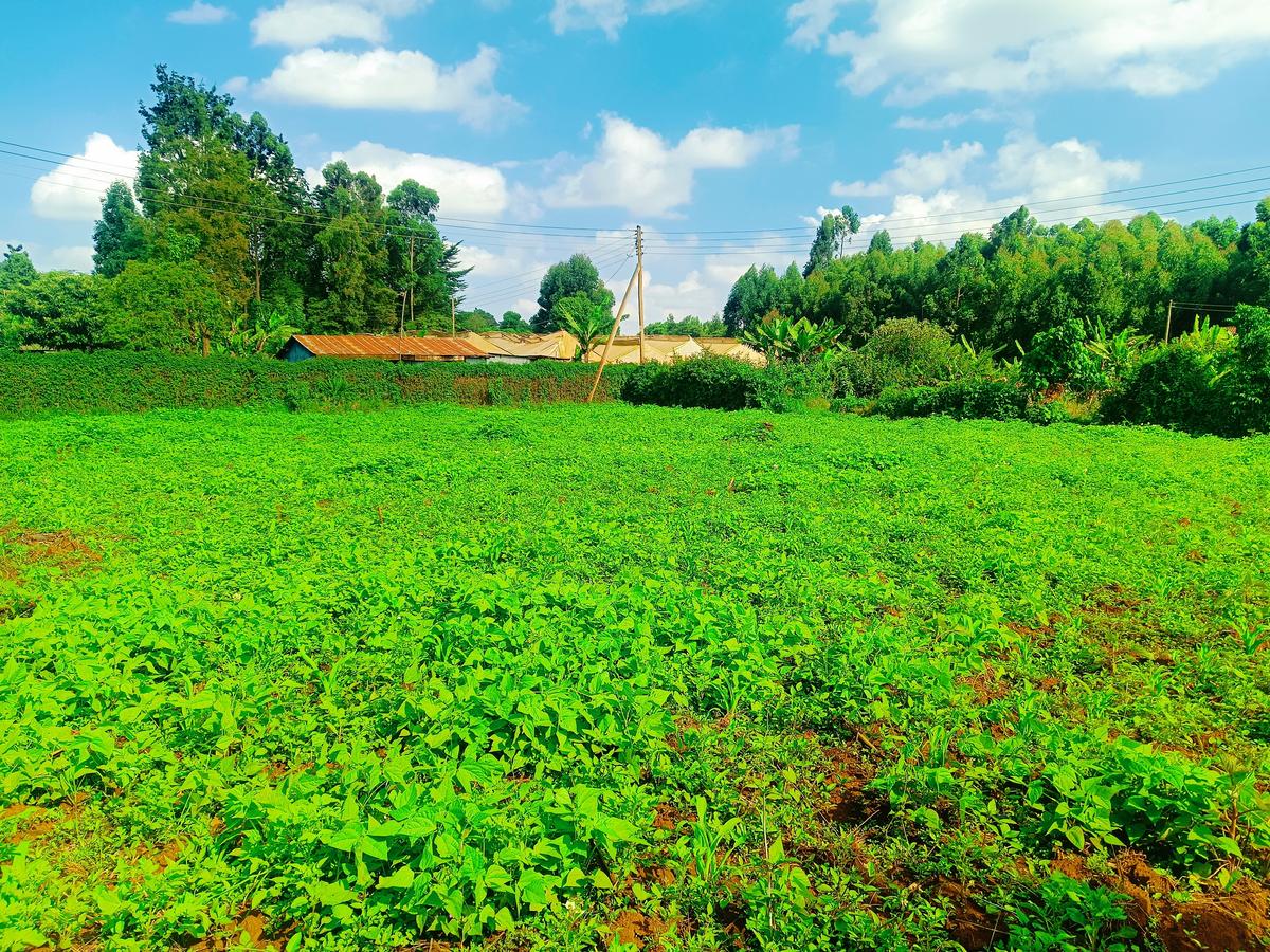 1,000 m² Residential Land at Ondiri - 7