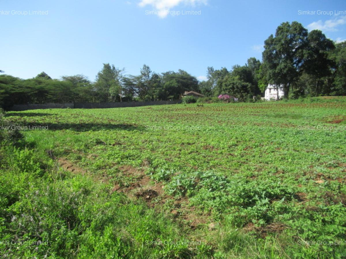 Residential Land at Ololua Ridge - 16