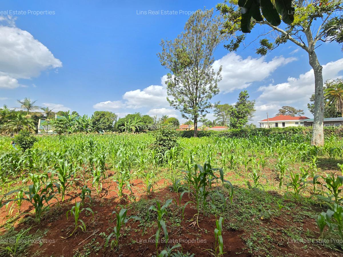 Residential Land in Runda - 2