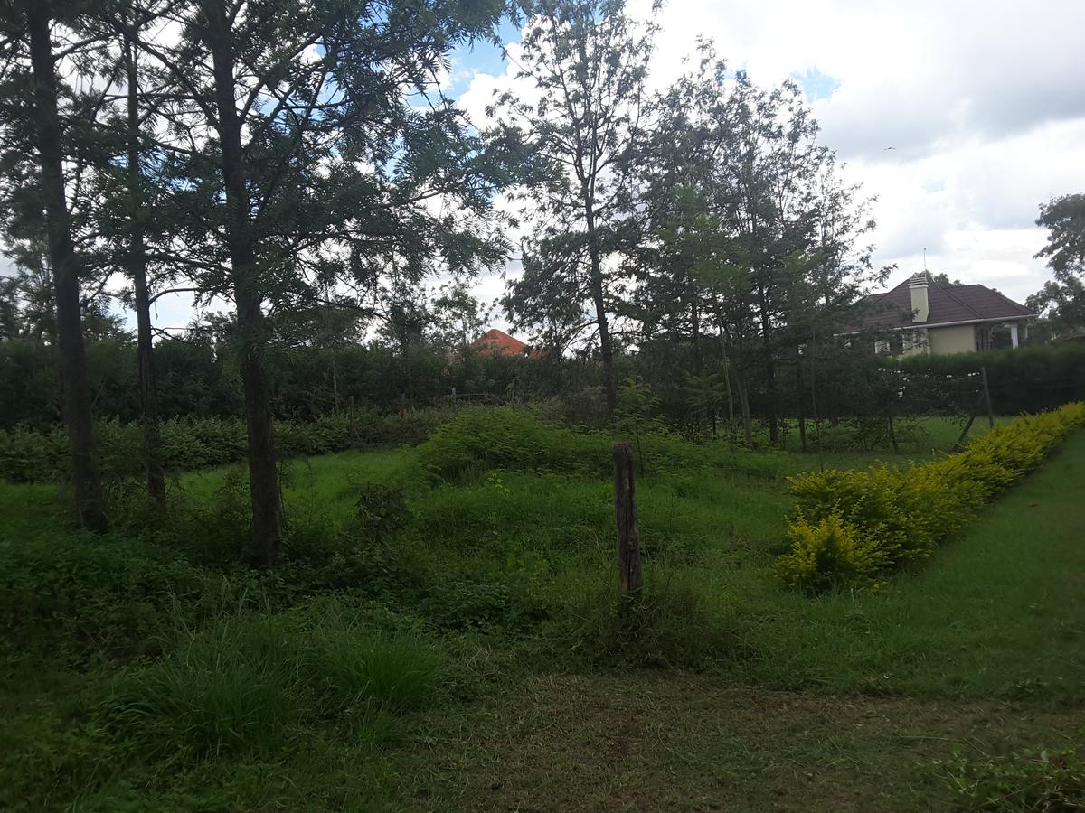 0.1 ha Residential Land in Ongata Rongai - 2