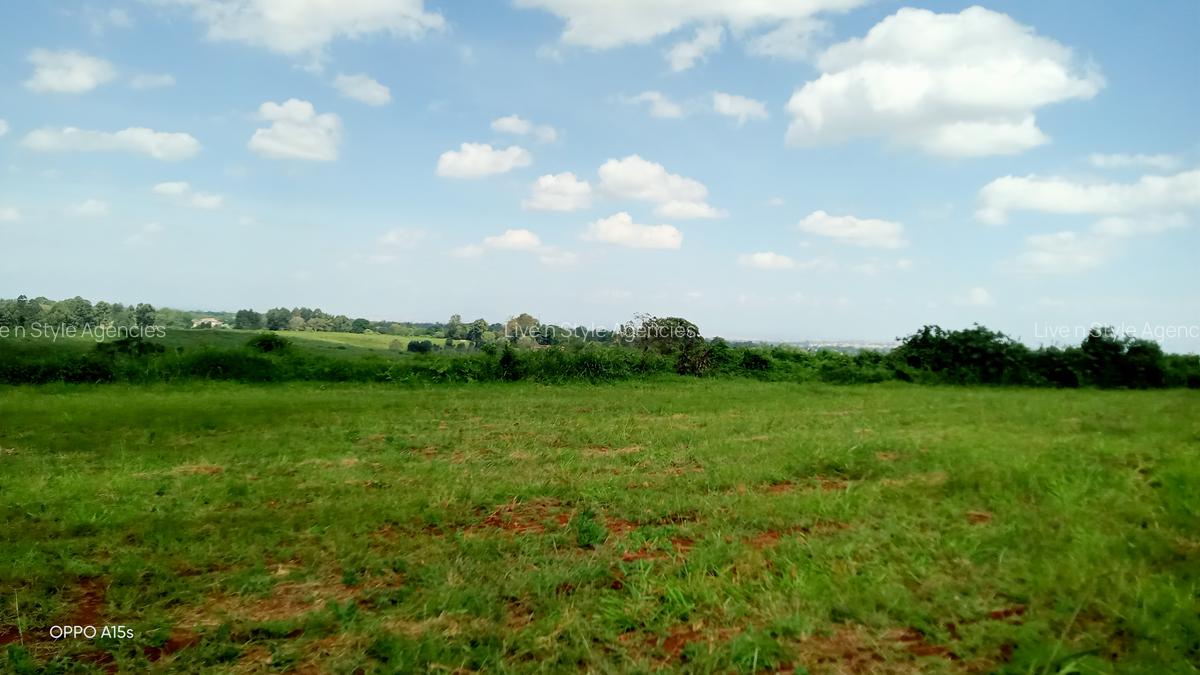 Residential Land in Runda - 4