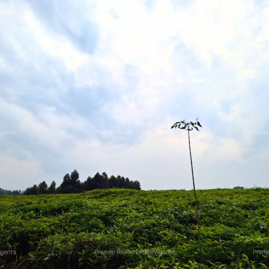 1 ac Residential Land at Tigoni - 4