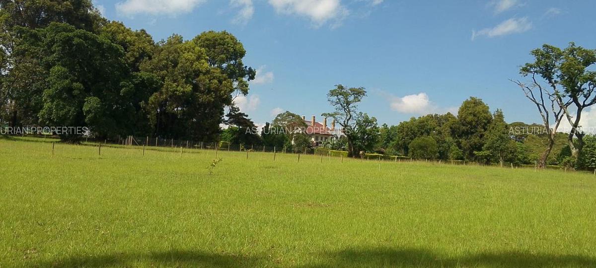 1 ac Land in Karen - 1