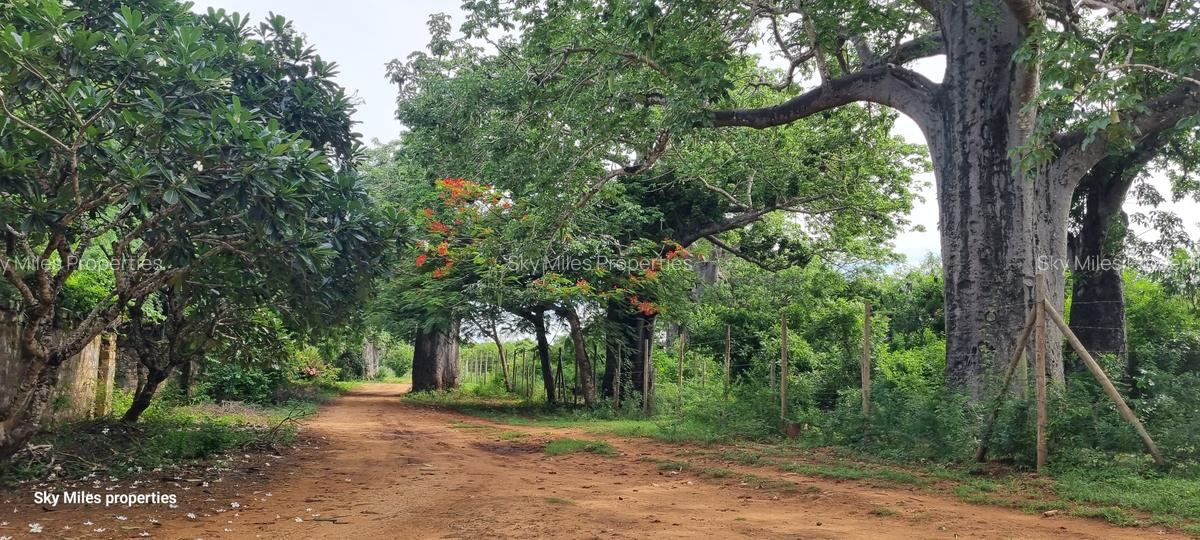 6 ac Land at Kilifi - 1
