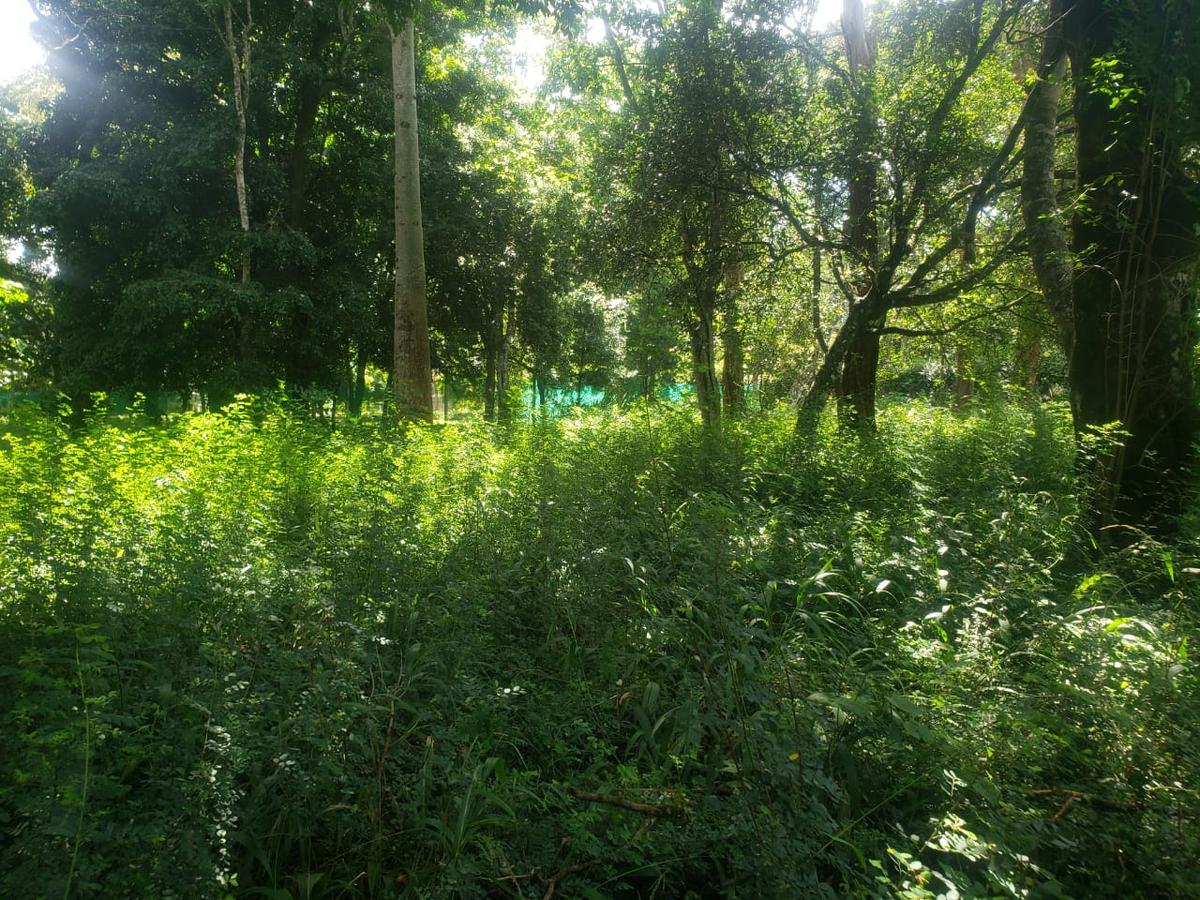 0.5 ac Land in Karen - 2