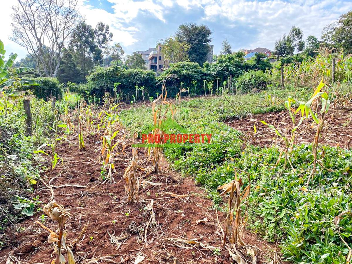 0.05 ha Residential Land at Muthiga - 9